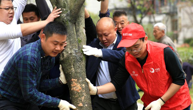 QQ截图20201025124812.png